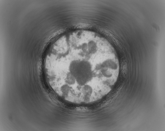 X0000112020591200909141037