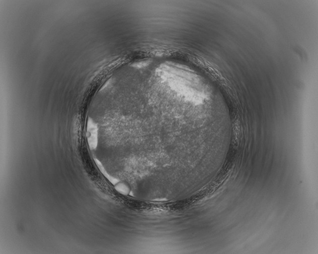 X0000112020594200909141037