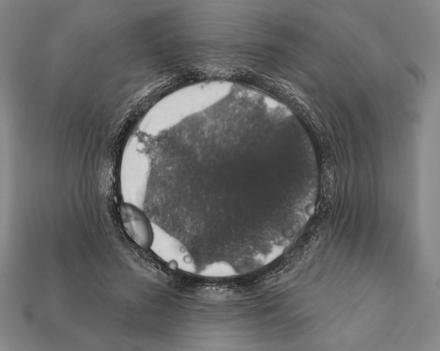 X0000112020596200909141037