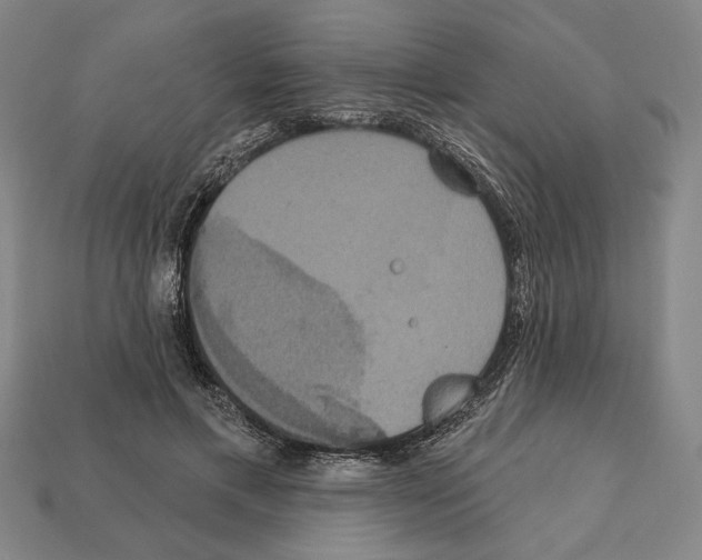 X0000112020597200909141037