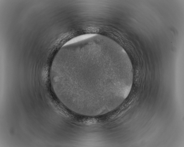 X0000112020600200909141037