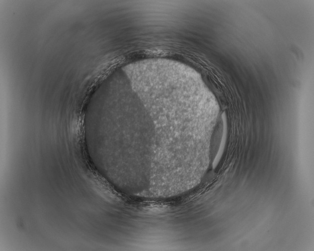 X0000112020601200909141037