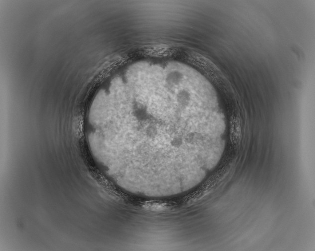 X0000112020602200909141037