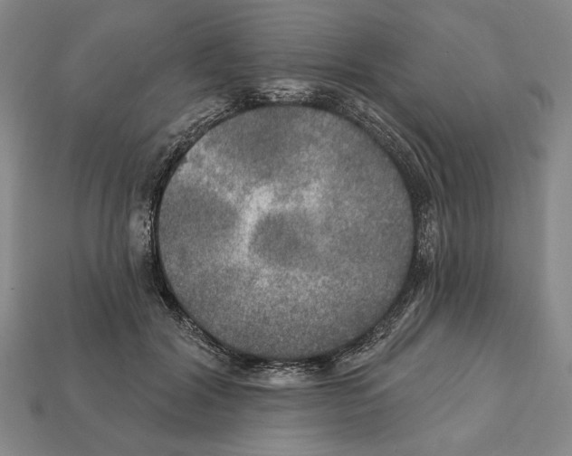 X0000112020604200909141037