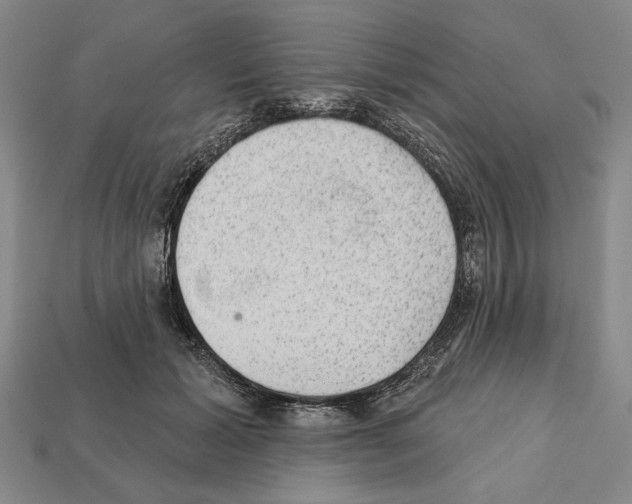 X0000112020605200909141037