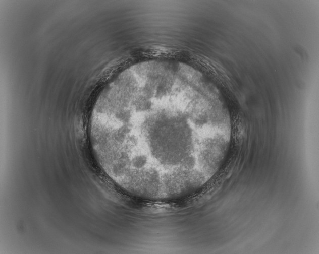 X0000112020607200909141037