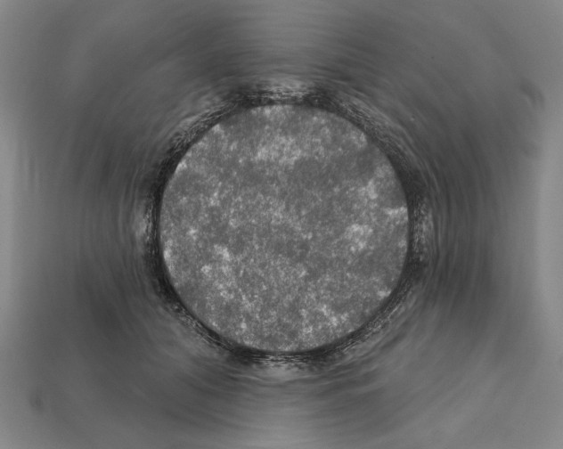 X0000112020608200909141037