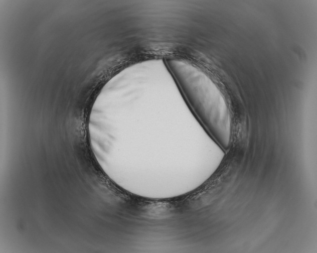 X0000112020609200909141037