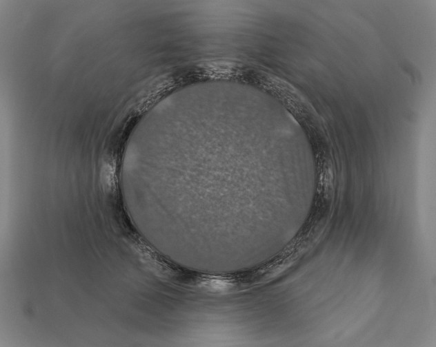 X0000112020610200909141037