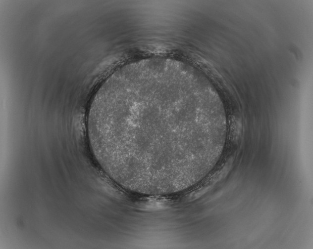 X0000112020612200909141037