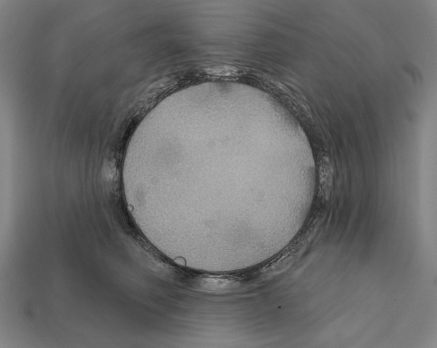 X0000112020614200909141037