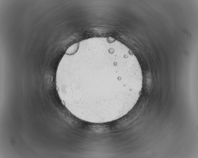 X0000112020615200909141037