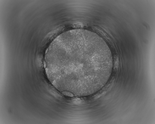 X0000112020616200909141037