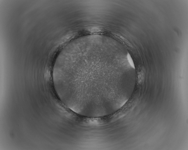 X0000112020618200909141037