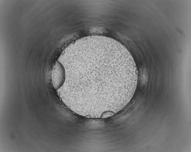 X0000112020619200909141037