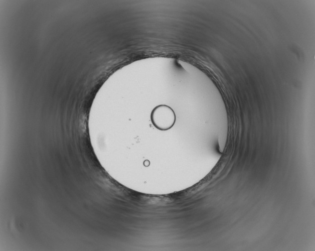 X0000112020621200909141037