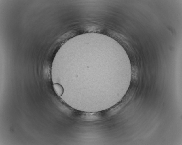 X0000112020622200909141037