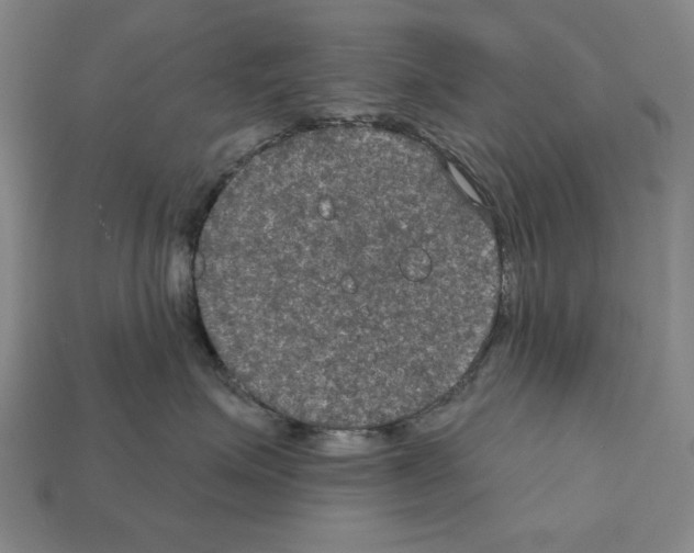 X0000112020623200909141037