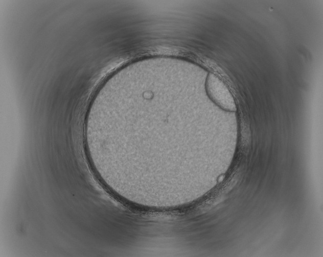 X0000112020625200909141036