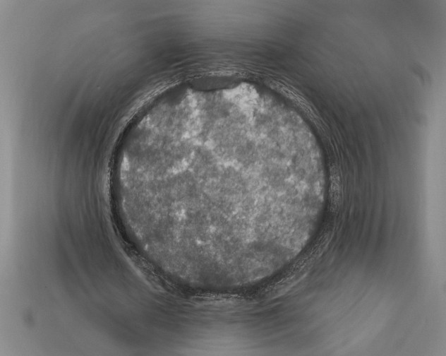 X0000112020626200909141036