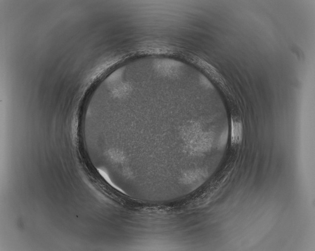 X0000112020627200909141036