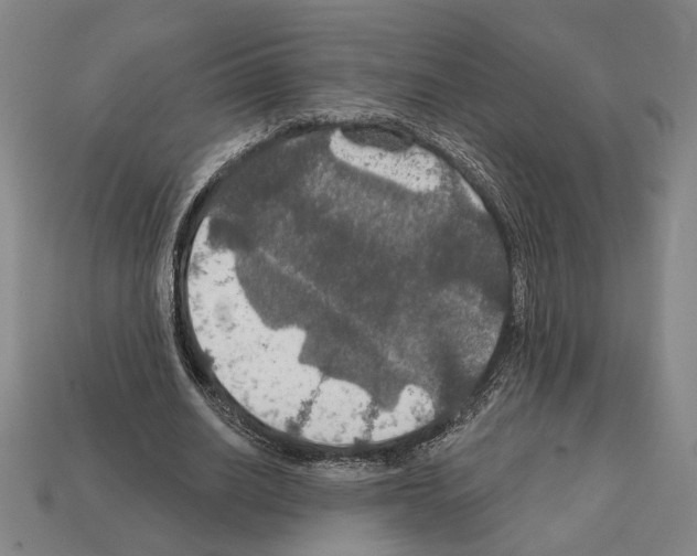 X0000112020630200909141036