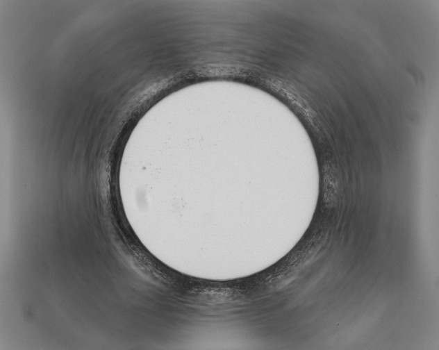 X0000112020631200909141036