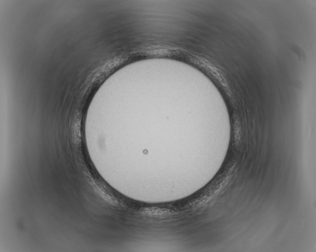 X0000112020633200909141036