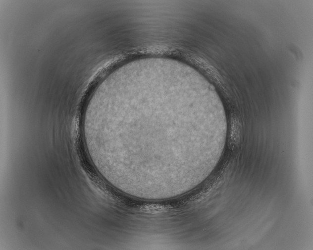 X0000112020636200909141036