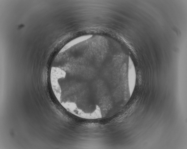 X0000112020637200909141036