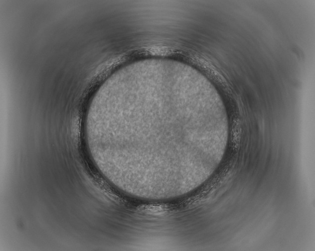 X0000112020639200909141037