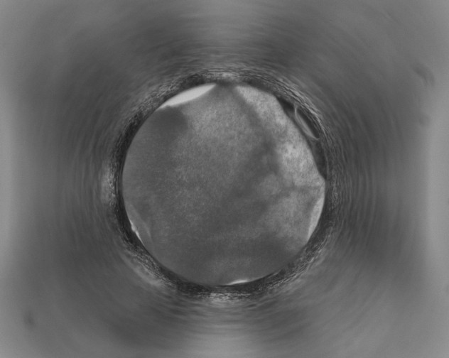 X0000112020641200909141037