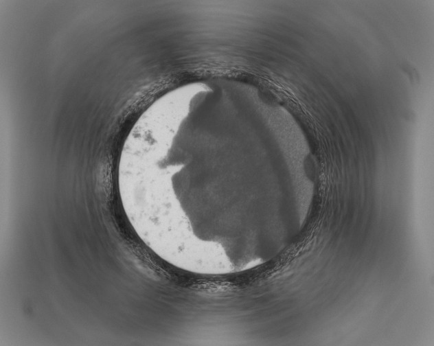 X0000112020642200909141037