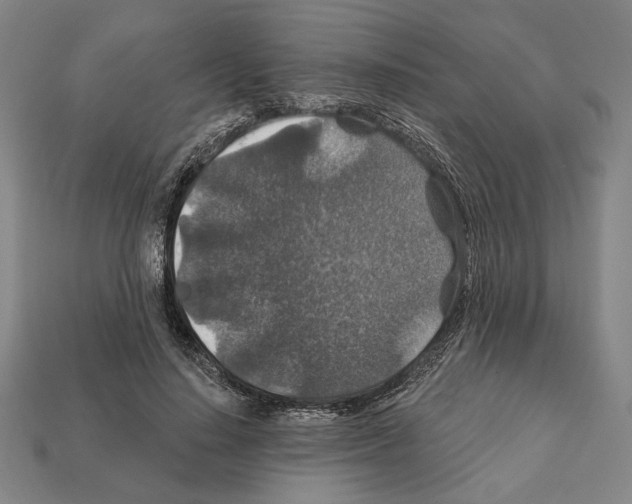 X0000112020644200909141037