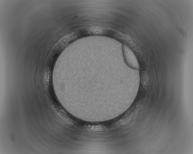 X0000112020645200909141037