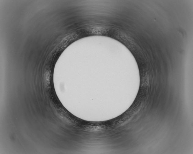 X0000112020646200909141037