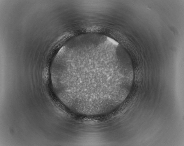 X0000112020648200909141037