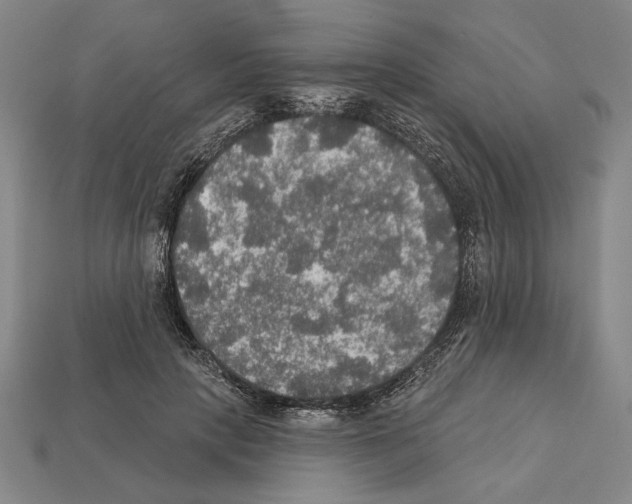 X0000112020649200909141037