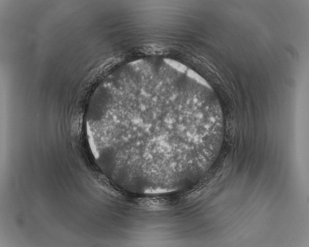 X0000112020652200909141037