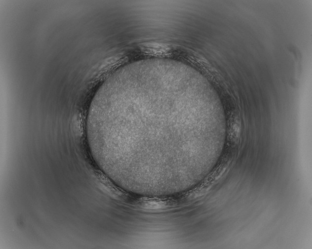 X0000112020658200909141037