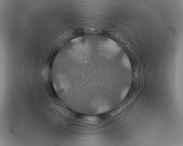 X0000112020659200909141037