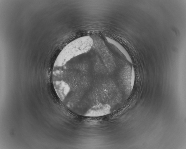 X0000112020661200909141037