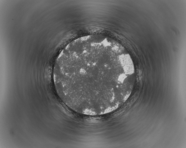 X0000112020664200909141037