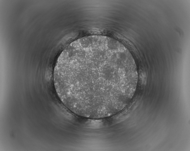 X0000112020665200909141037