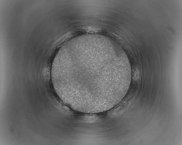 X0000112020666200909141037