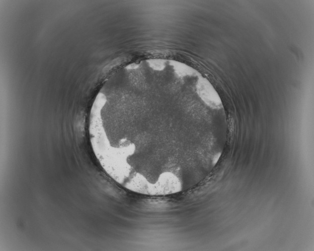 X0000112020668200909141037