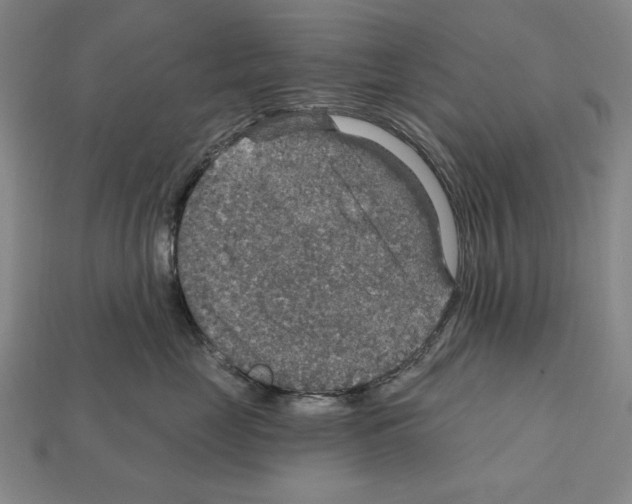 X0000112020669200909141037