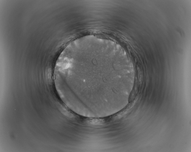 X0000112020670200909141037