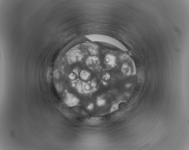 X0000112020671200909141037