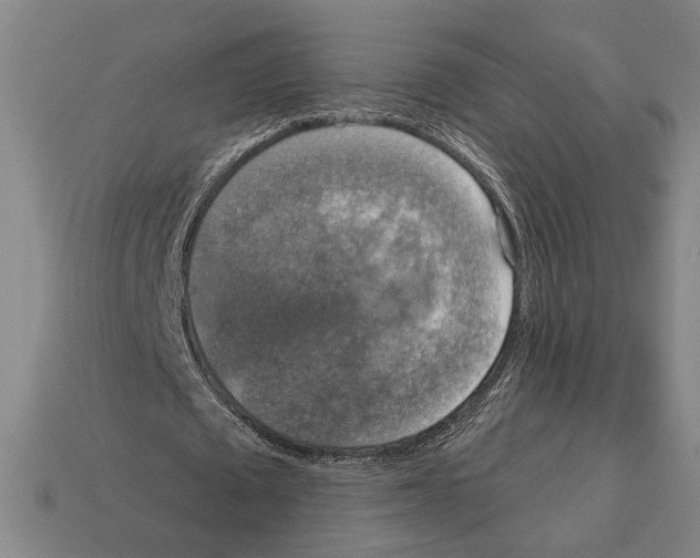 X0000112020673200909141036